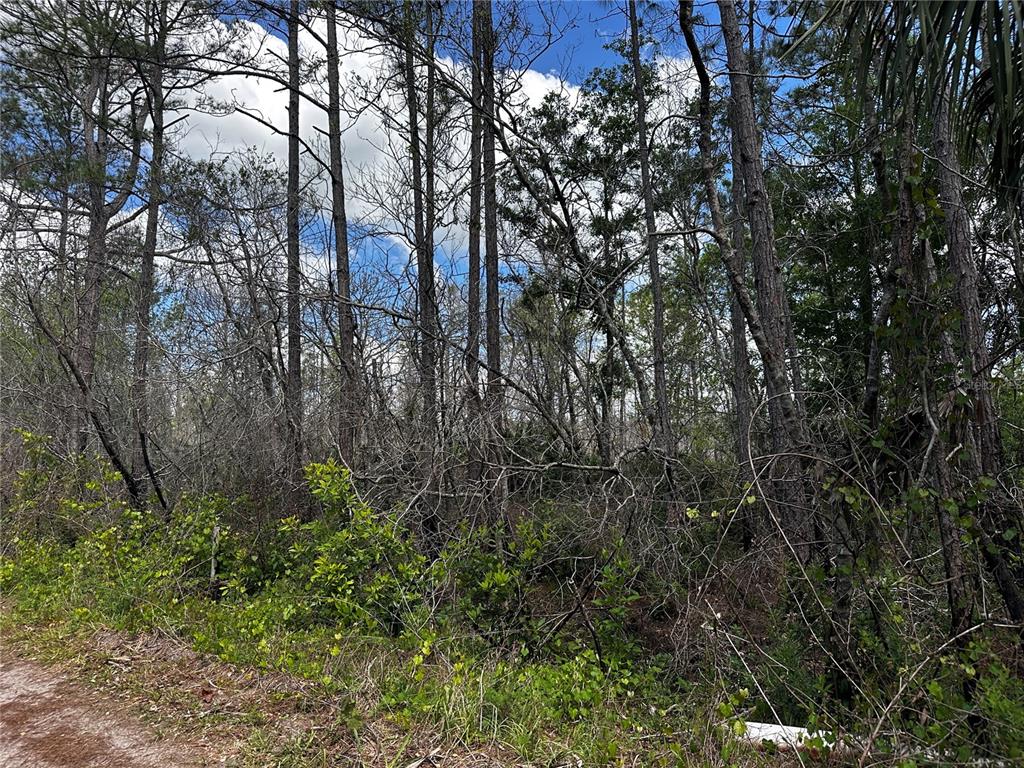 Property for sale at 00 KOLA ROAD, NEW SMYRNA BEACH, FL, 32168