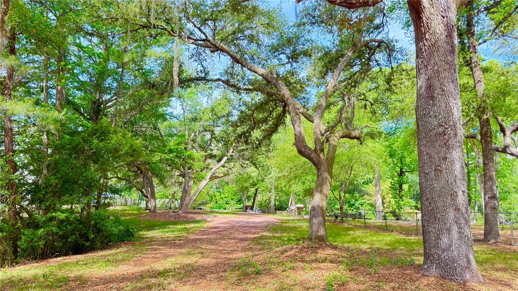 Gorgeous parcel with boat access to Deep Creek