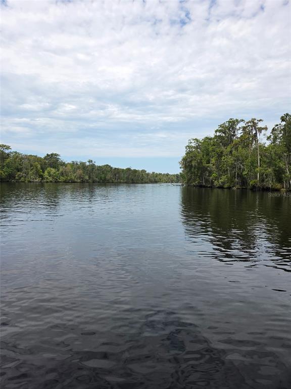 The North Fork meets  South Fork  heading towards Saint John’s river