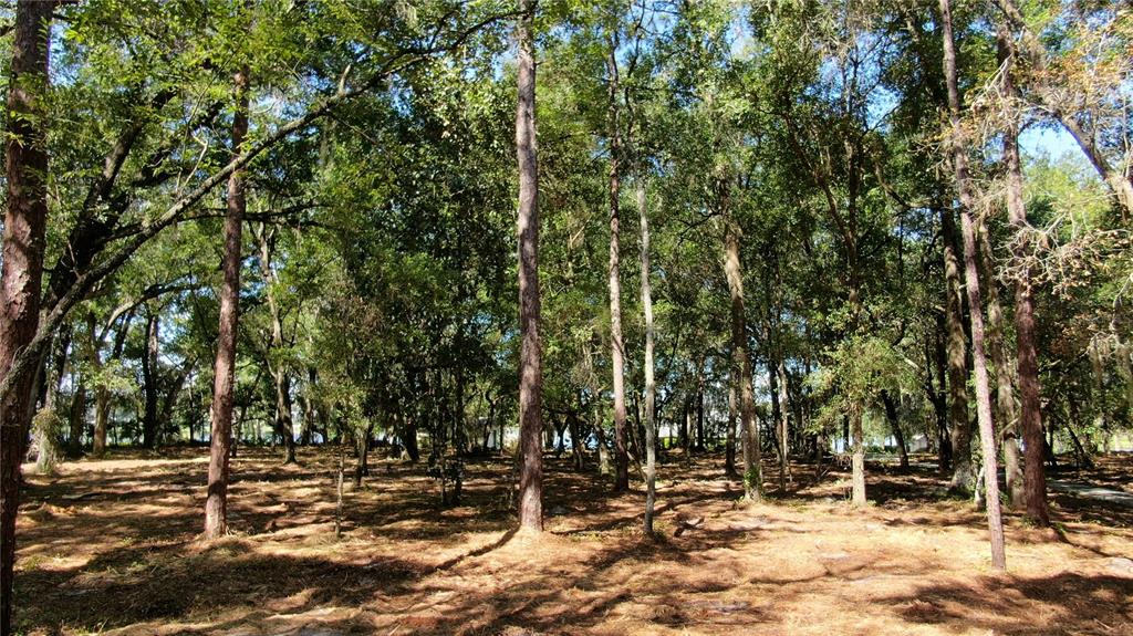 Property for sale at LAKE MARKHAM ROAD, SANFORD, FL, 32771