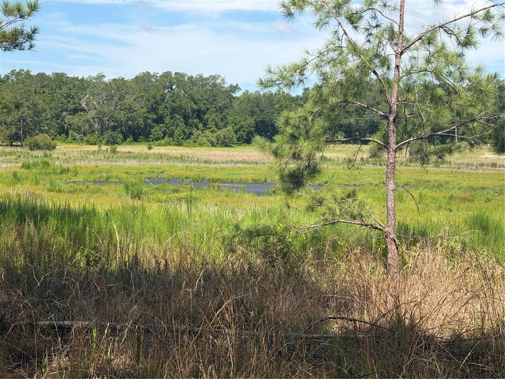 Property for sale at TBD GUAVA TERRACE, OCKLAWAHA, FL, 32179