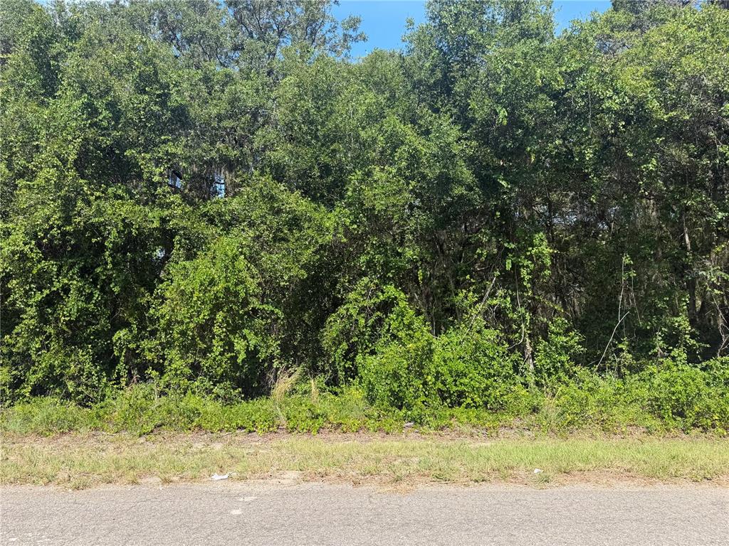 Property for sale at TBD GUAVA TERRACE, OCKLAWAHA, FL, 32179
