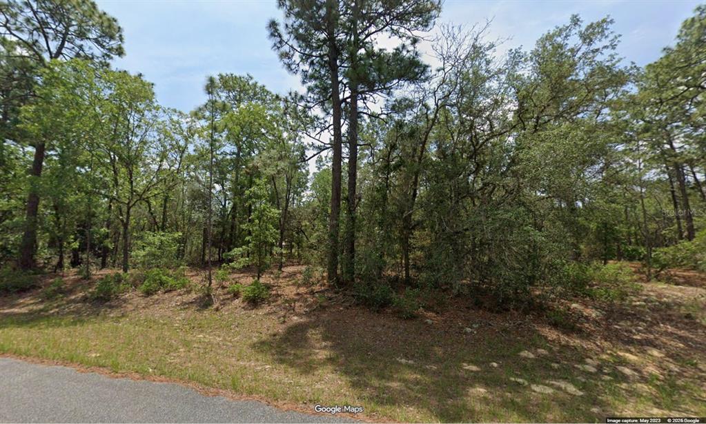 Property for sale at 11345 N KENNEY LOOP, CITRUS SPRINGS, FL, 34433