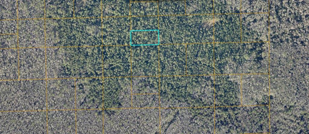 Property for sale at UNIMPROVED, DE LEON SPRINGS, FL, 32130