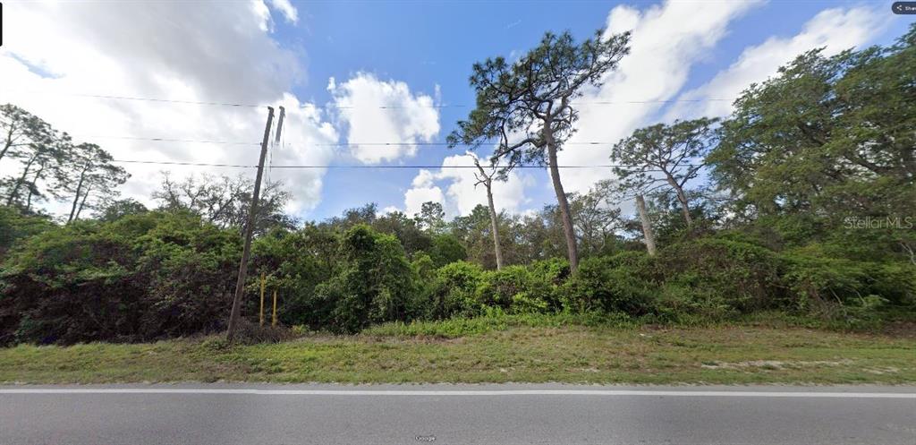 Property for sale at DEEN STILL ROAD, POLK CITY, FL, 33868