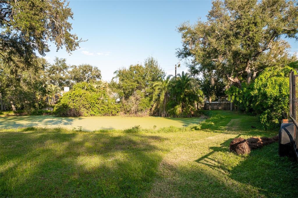 Back Third of Lot, Including Pond