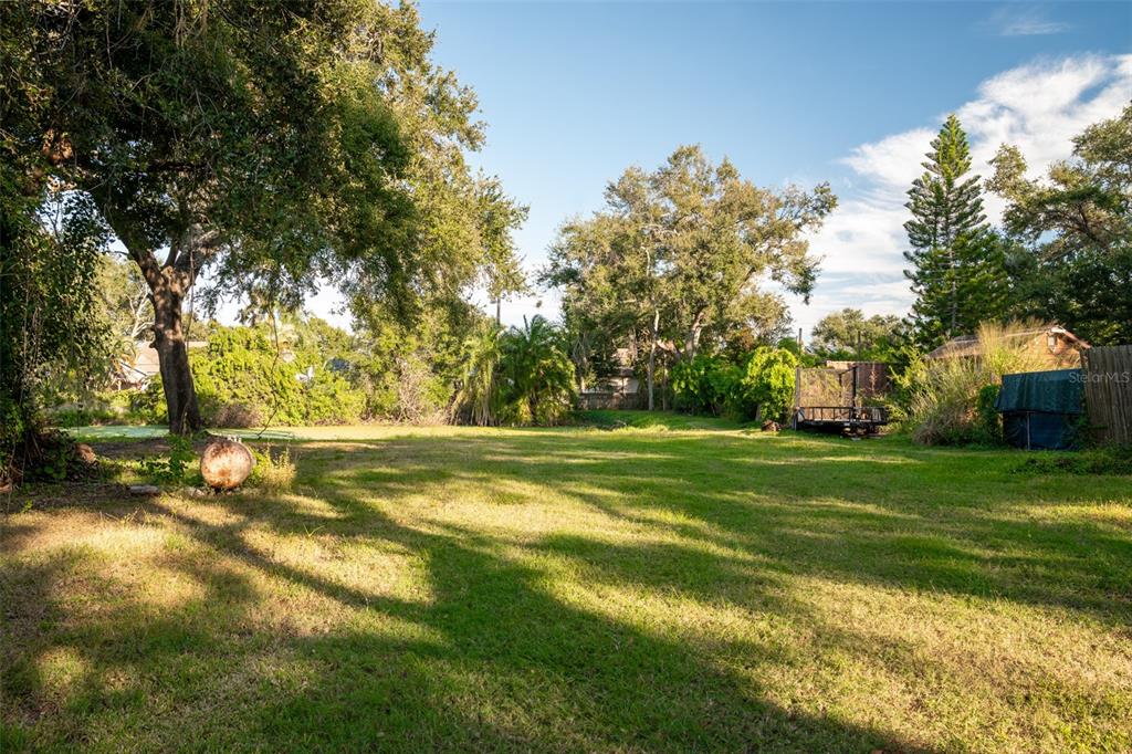 Back Half of Lot