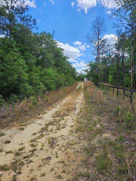 N Gatlen Avenue