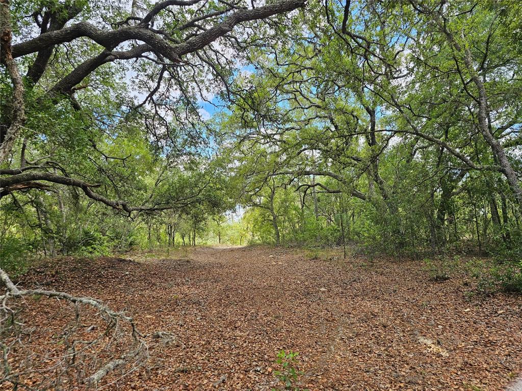 Spacious 2.65 acres ready for your dream home or homes.