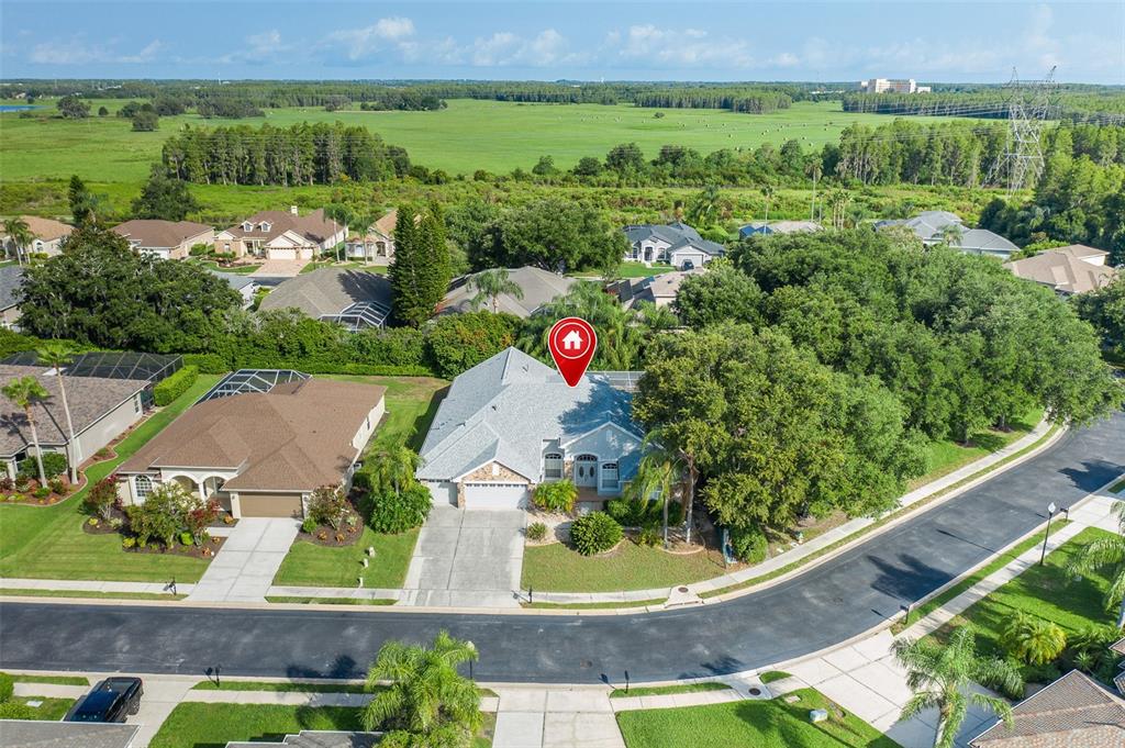 Aerial of Home and Street