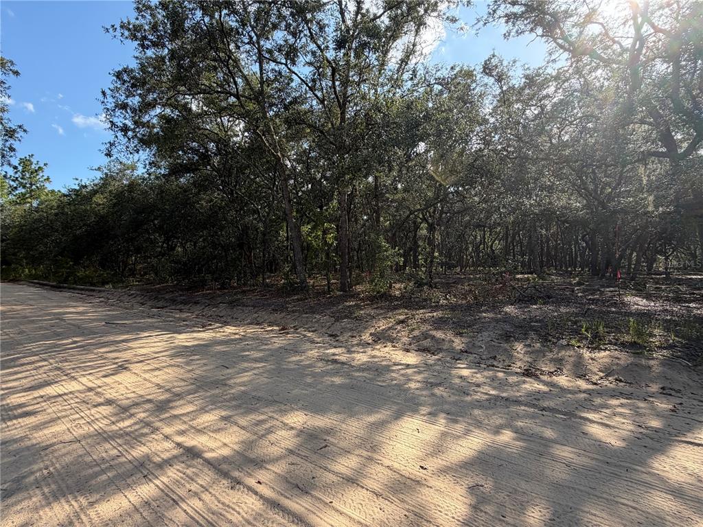 Property for sale at 103 SW 53RD AVENUE, INTERLACHEN, FL, 32148