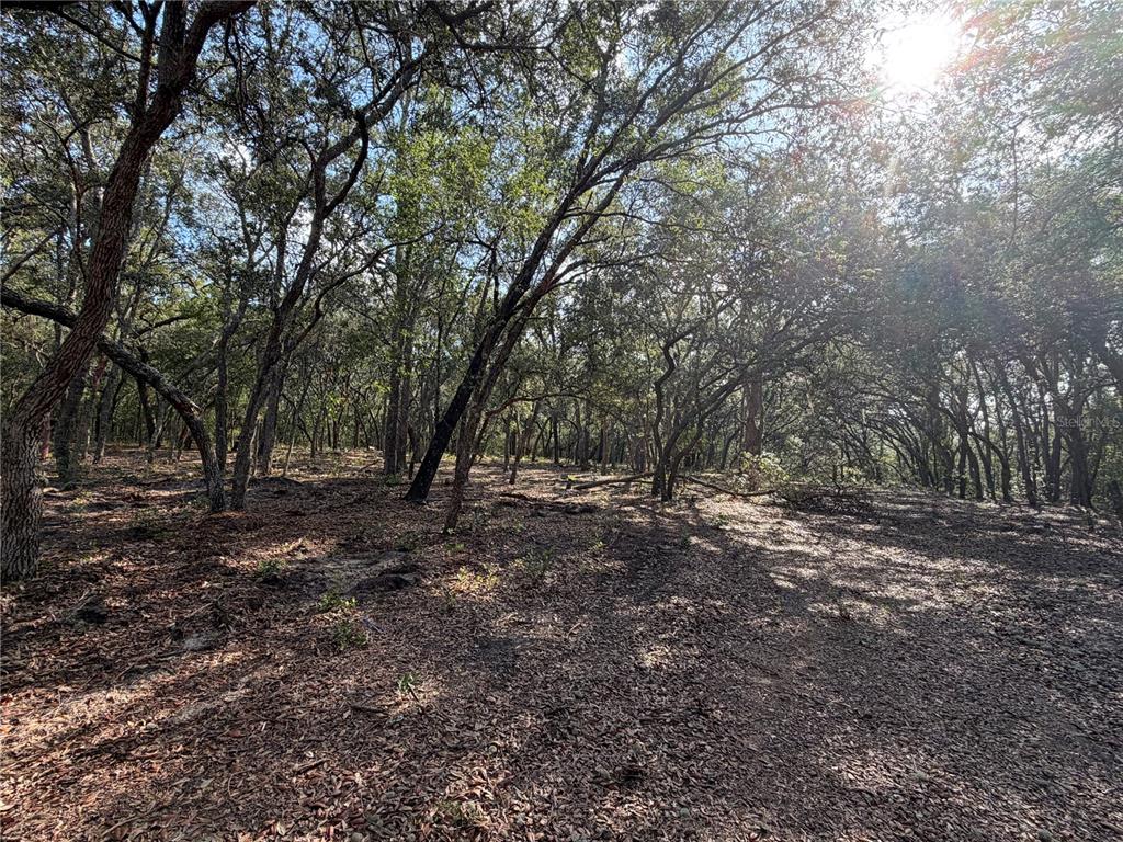 Property for sale at 103 SW 53RD AVENUE, INTERLACHEN, FL, 32148