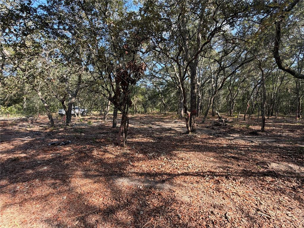 Property for sale at 103 SW 53RD AVENUE, INTERLACHEN, FL, 32148