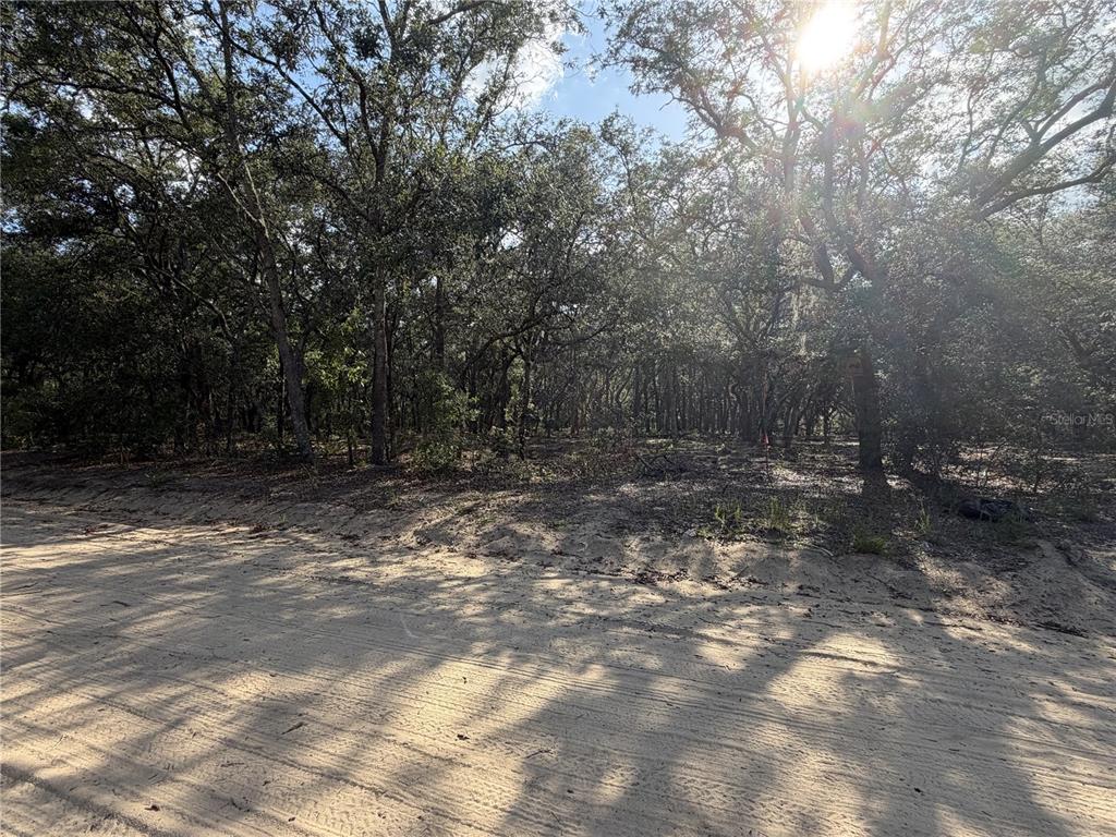 Property for sale at 103 SW 53RD AVENUE, INTERLACHEN, FL, 32148