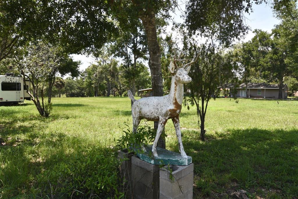 Property for sale at 3100 POVERTY LANE, APOPKA, FL, 32712