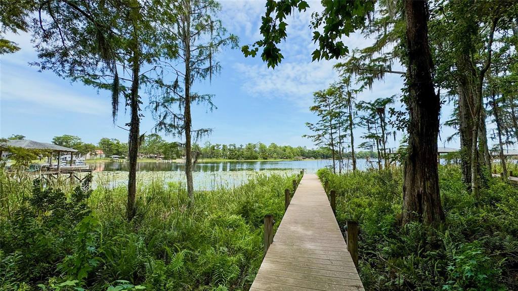 Property for sale at 14125 DEEP LAKE DRIVE, ORLANDO, FL, 32826
