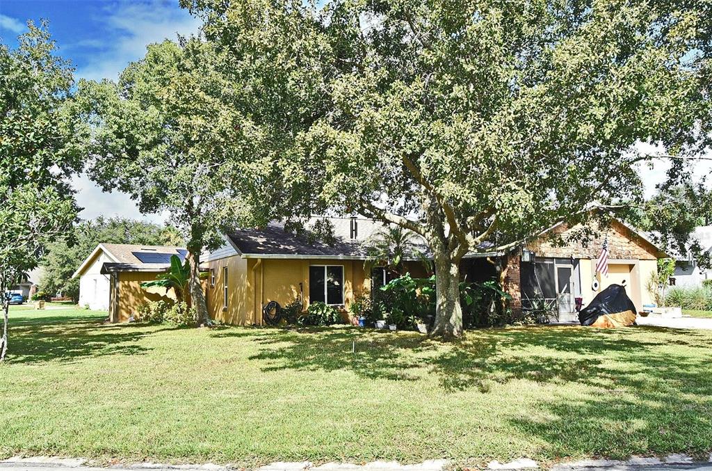 31 Chip Ct. featuring a spacious yard and mature trees.