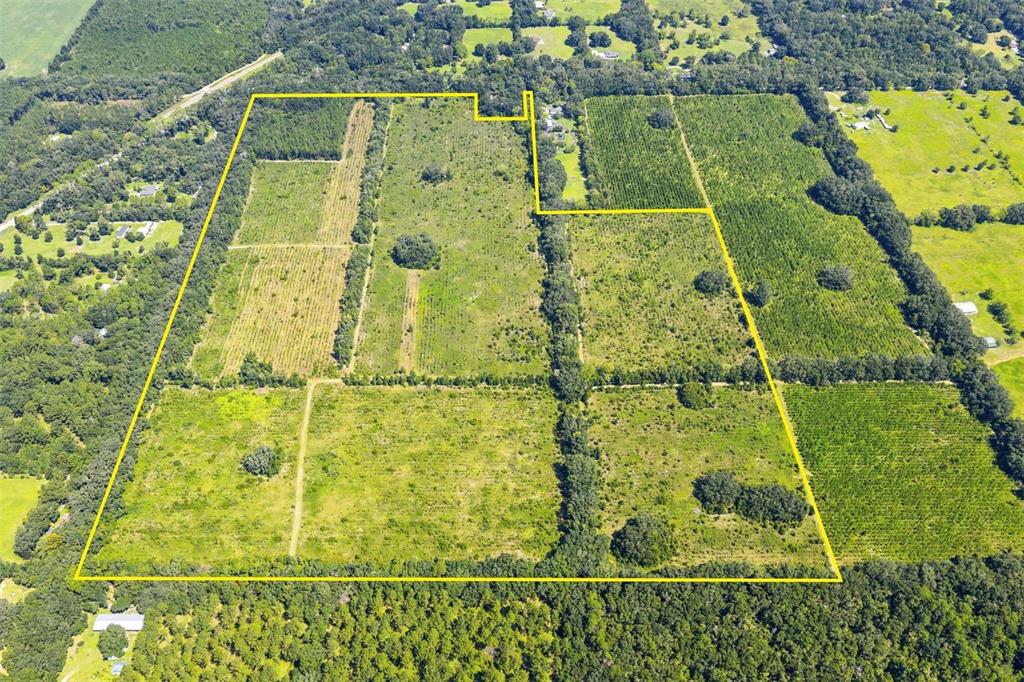 Property for sale at 20109 NW 62ND AVENUE, ALACHUA, FL, 32615