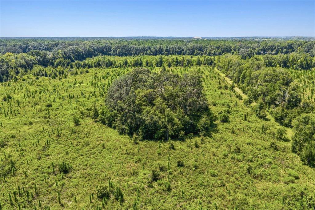 Property for sale at 20109 NW 62ND AVENUE, ALACHUA, FL, 32615