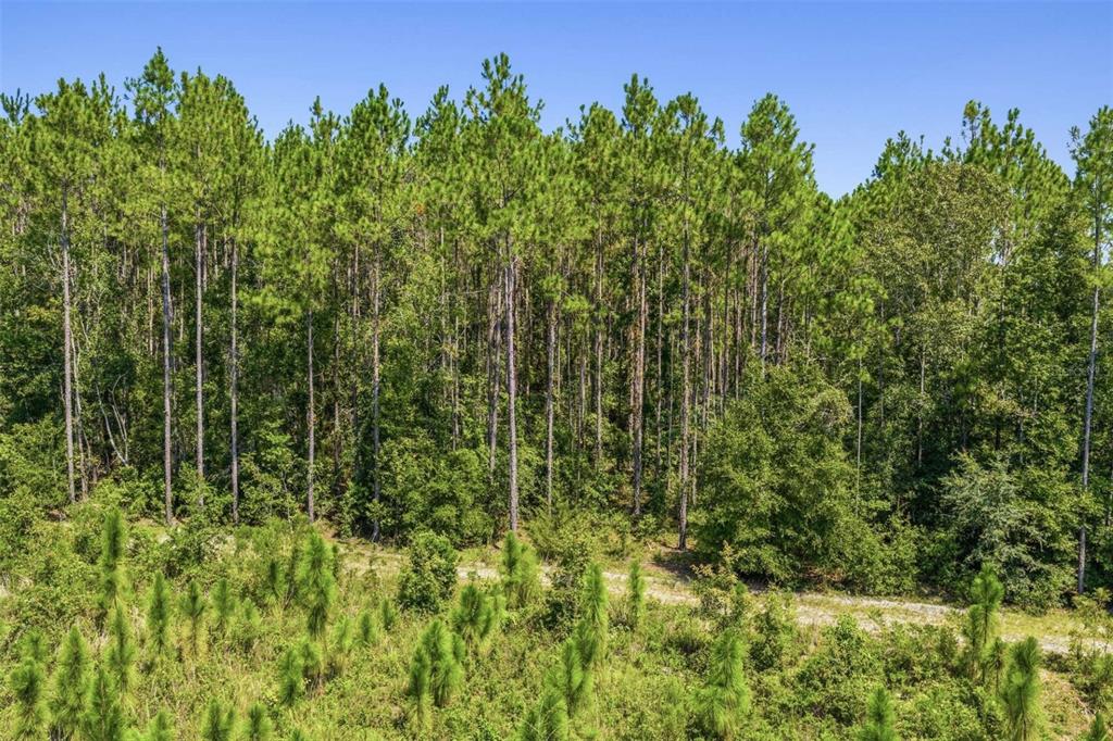 Property for sale at 20109 NW 62ND AVENUE, ALACHUA, FL, 32615