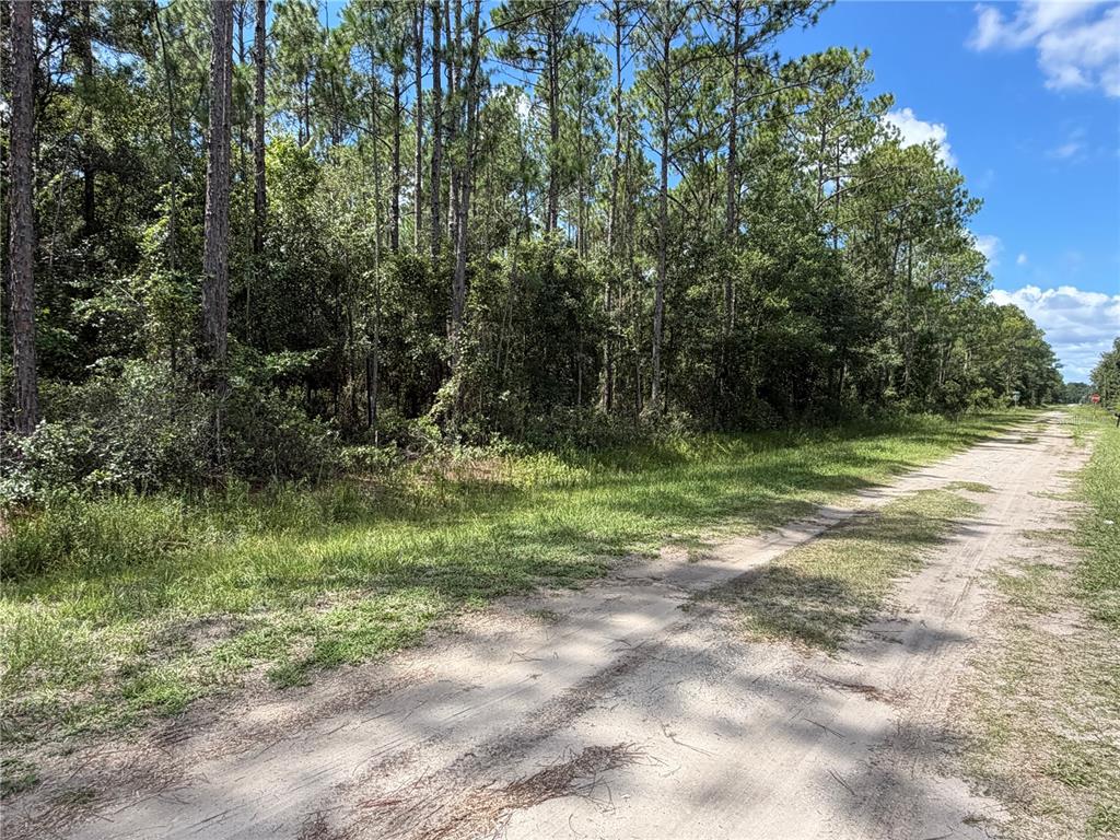 Property for sale at 4265 GLADYS STREET, HASTINGS, FL, 32145