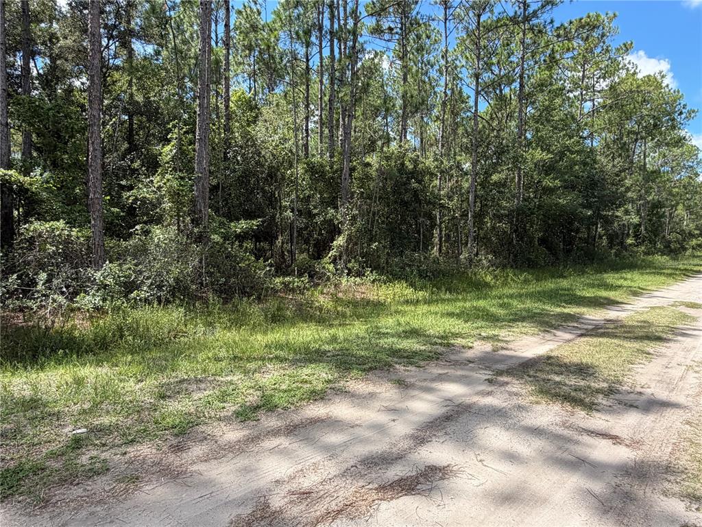 Property for sale at 4265 GLADYS STREET, HASTINGS, FL, 32145