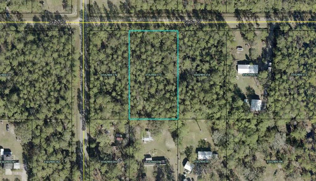 Property for sale at 4265 GLADYS STREET, HASTINGS, FL, 32145