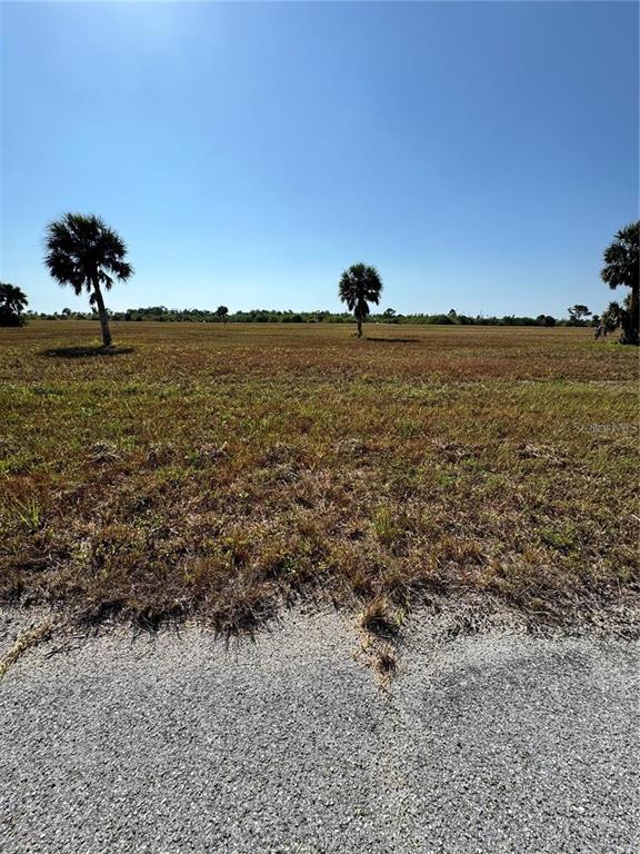 Property for sale at 12496 TOADFISH COURT, PLACIDA, FL, 33946