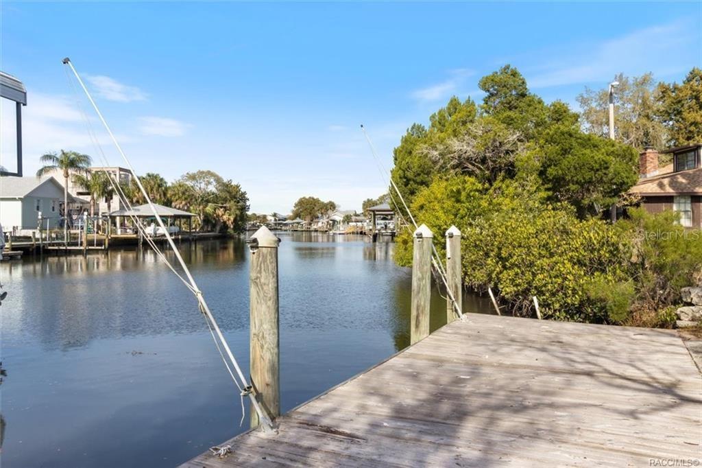 Easy breezy access to fishing, scalloping, swimming with manatees and so much more!