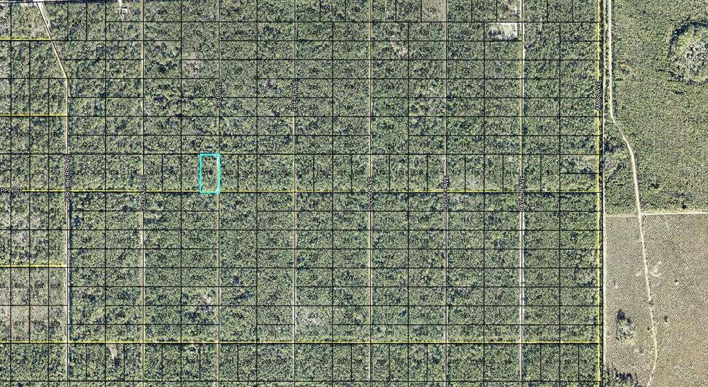 Property for sale at 319 TIPPIN STREET, HASTINGS, FL, 32145