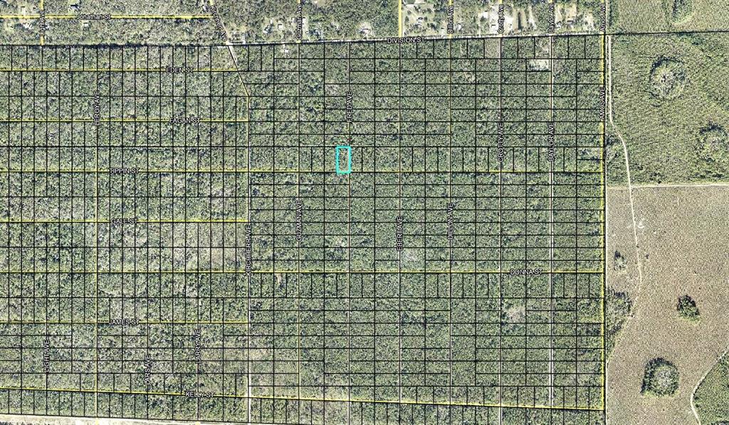 Property for sale at 319 TIPPIN STREET, HASTINGS, FL, 32145