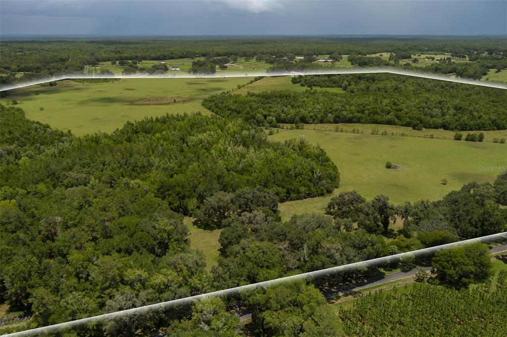 Property for sale at 9504 NW HWY 320, MICANOPY, FL, 32667