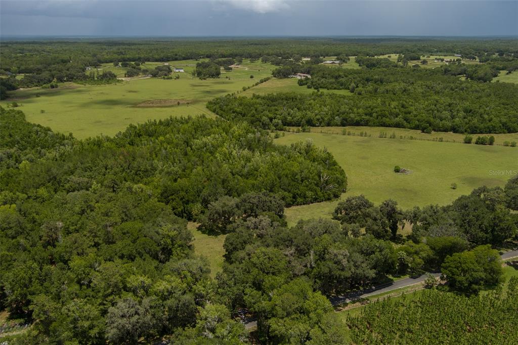 Property for sale at 9504 NW HWY 320, MICANOPY, FL, 32667