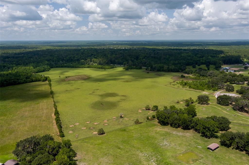 Property for sale at 9504 NW HWY 320, MICANOPY, FL, 32667