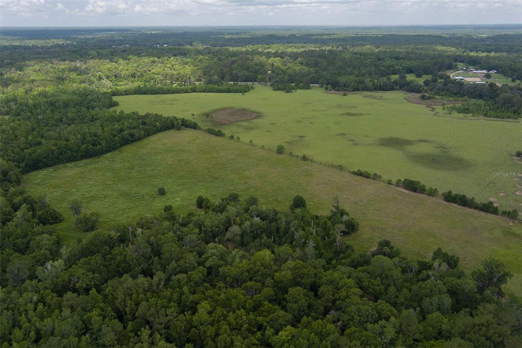Property for sale at 9504 NW HWY 320, MICANOPY, FL, 32667
