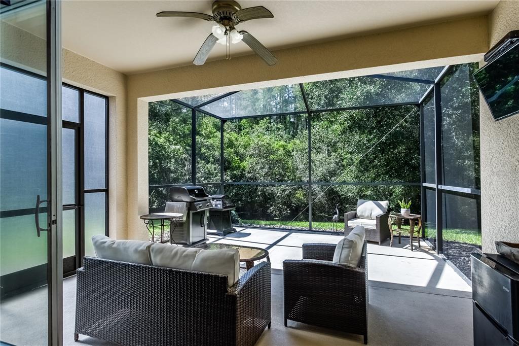 Overlooking the back yard