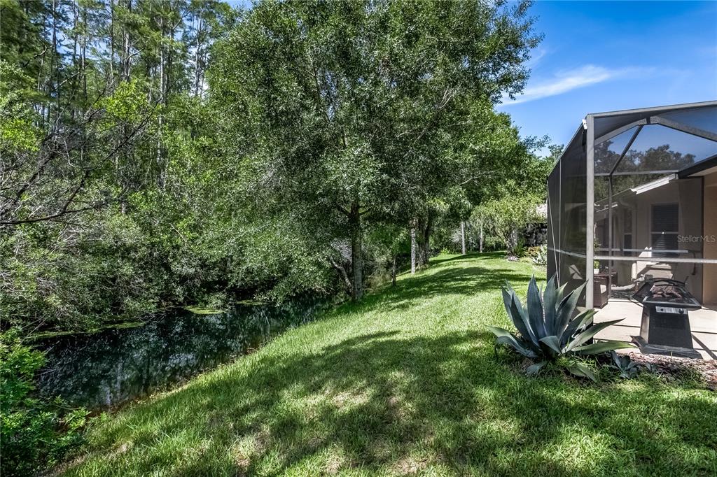Back yard from your lanai