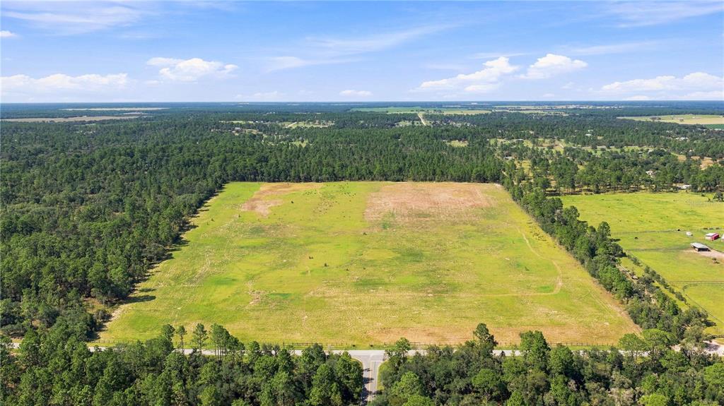Property for sale at 14231 SE 80TH STREET, MORRISTON, FL, 32668