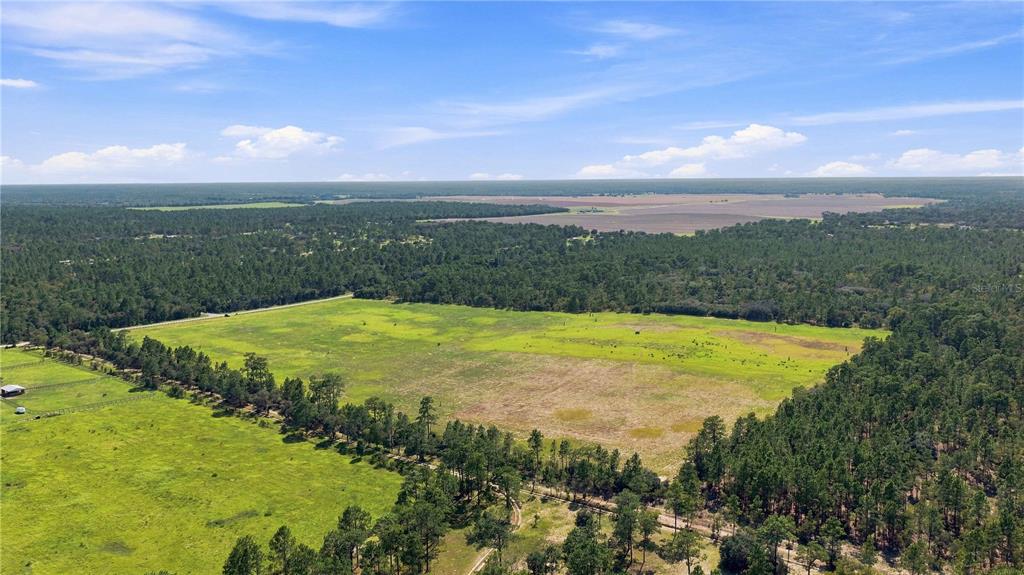 Property for sale at 14231 SE 80TH STREET, MORRISTON, FL, 32668