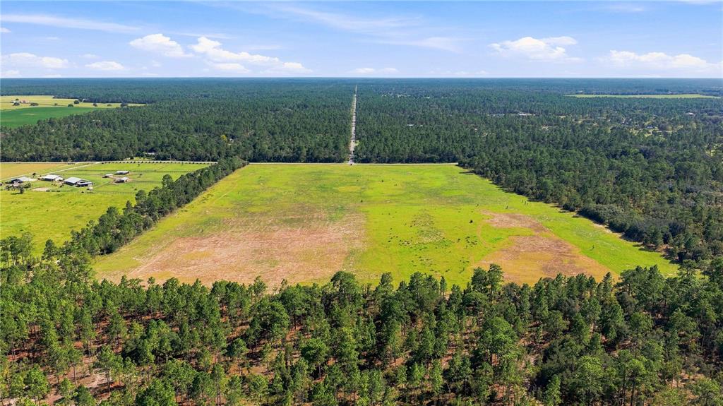 Property for sale at 14231 SE 80TH STREET, MORRISTON, FL, 32668