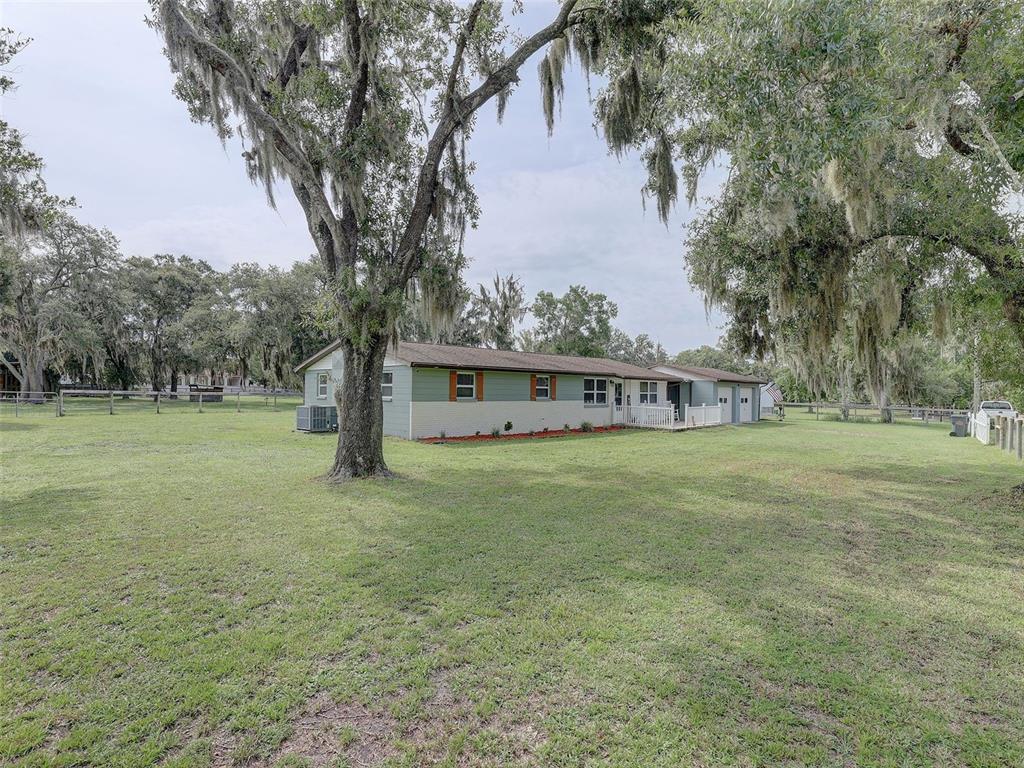 Large Front Yard