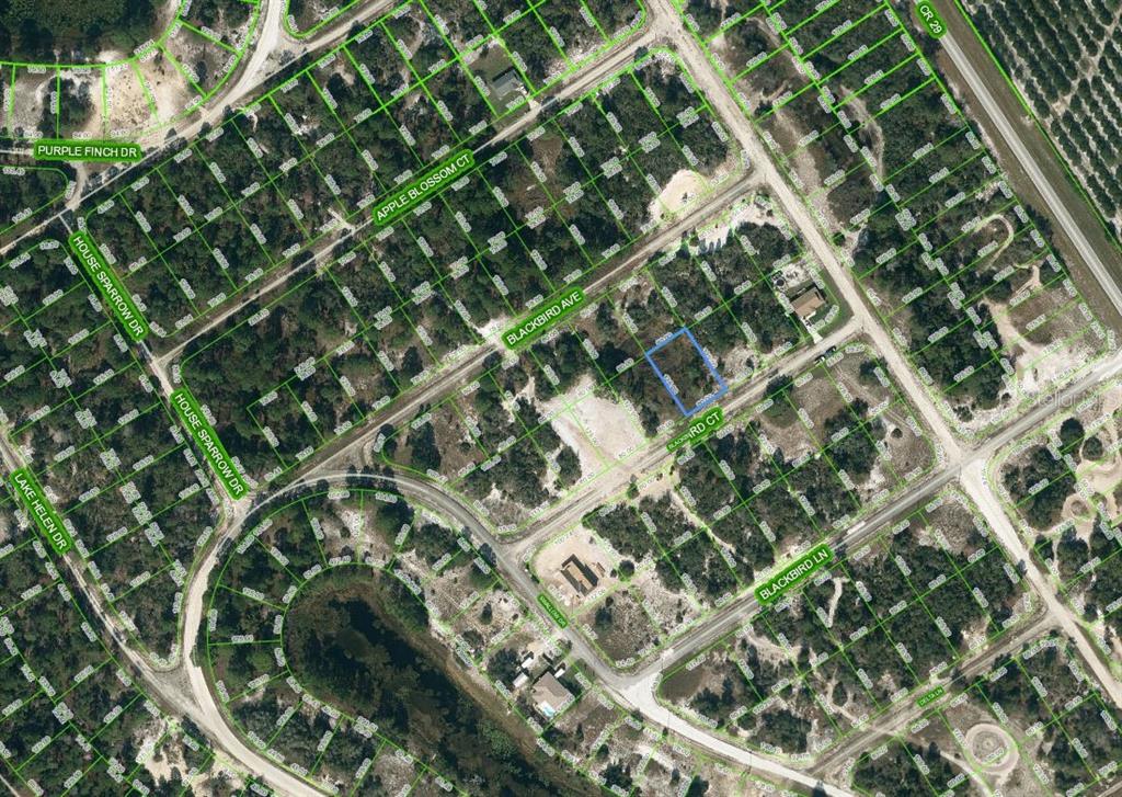 Property for sale at 452 BLACKBIRD COURT, LAKE PLACID, FL, 33852