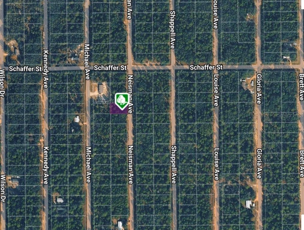 Property for sale at LOT 33 NEISMAN AVENUE, INTERLACHEN, FL, 32148