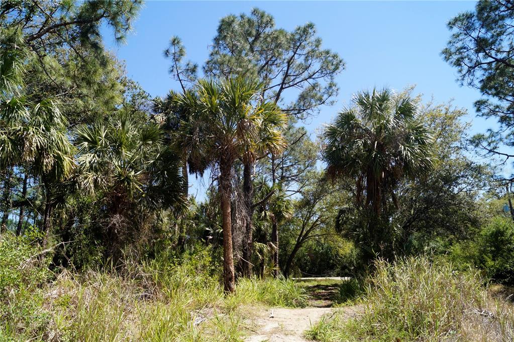 Property for sale at 8370 CHORLEY AVENUE, NORTH PORT, FL, 34291