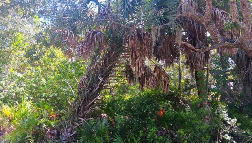 Property for sale at 3526 MENTONE STREET, PORT CHARLOTTE, FL, 33980