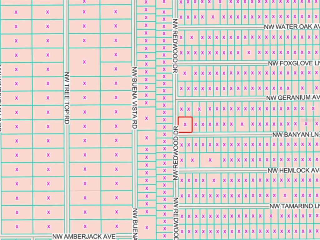 Flood Zone Code X (NO FLOOD ZONE)