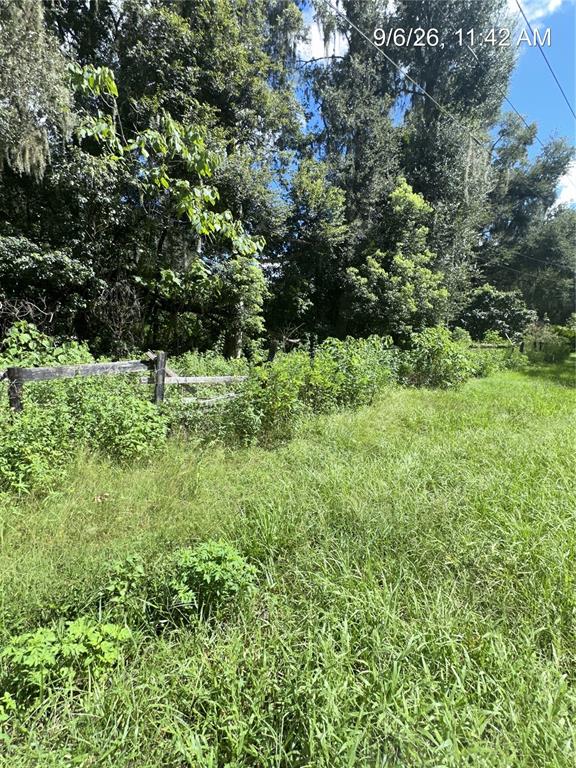 Property for sale at TBD NW 110TH STREET, REDDICK, FL, 32686