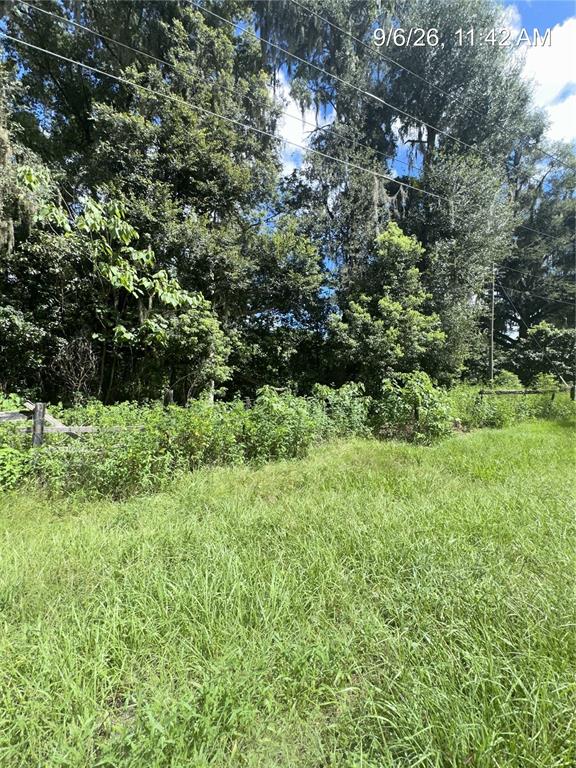 Property for sale at TBD NW 110TH STREET, REDDICK, FL, 32686