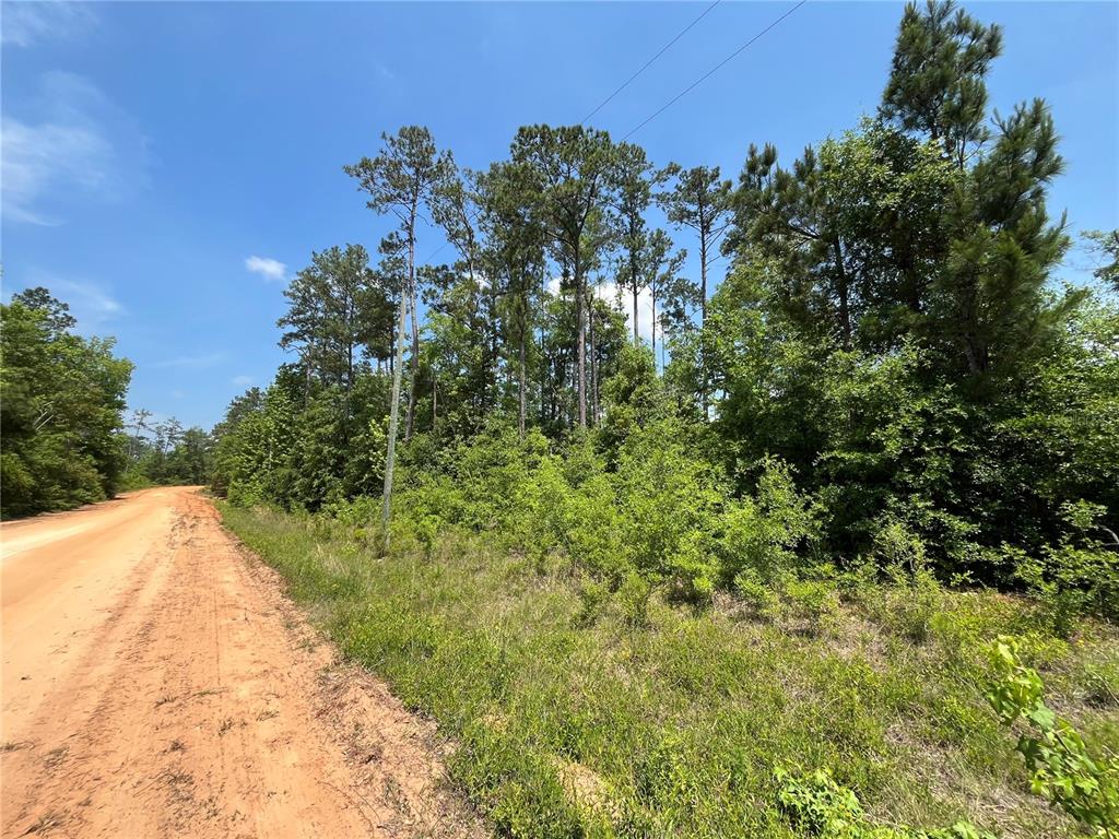 Property for sale at TBD GRAND QUIVIERA CIRCLE, ALFORD, FL, 32420