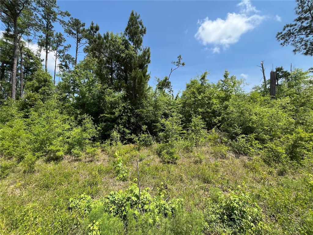 Property for sale at TBD GRAND QUIVIERA CIRCLE, ALFORD, FL, 32420
